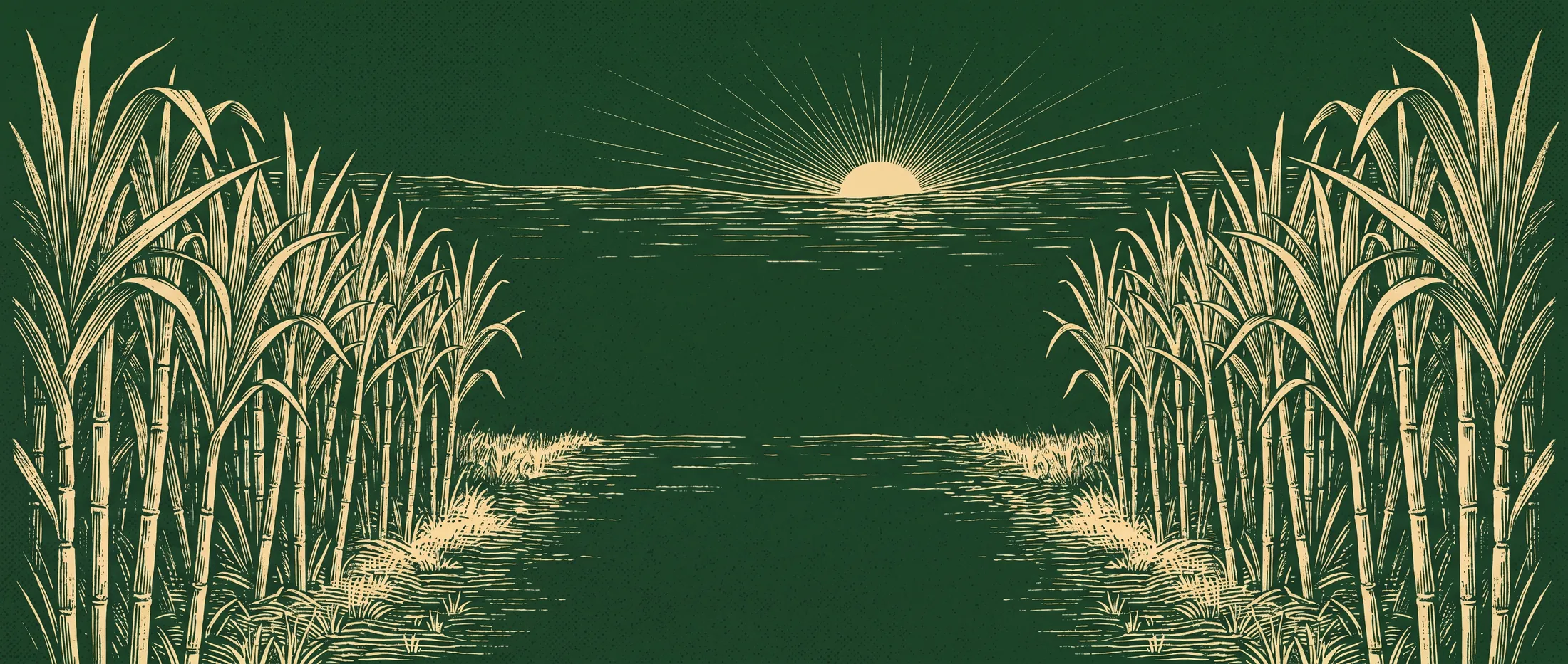 Canavial ao entardecer, em gravura