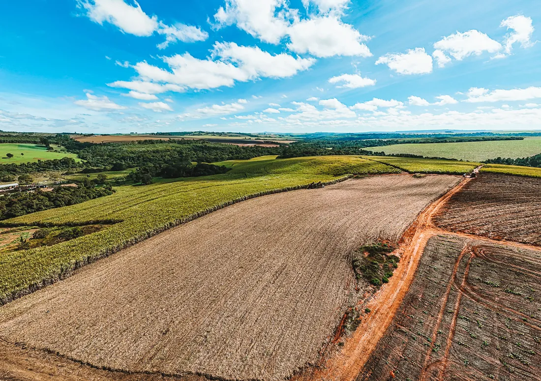 A destilaria Zambianco por dentro
